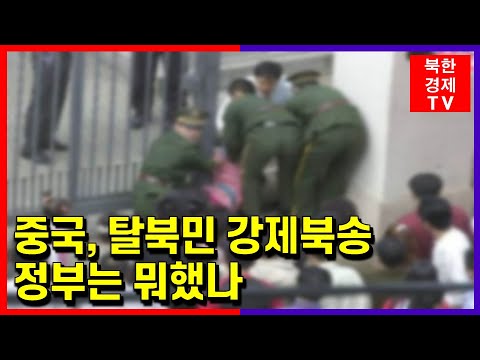 중국, 탈북민 50여 명 강제북송...정부 대응..